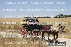 2016 feria caballo medina del campo 30