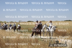 2016 feria caballo medina del campo 32