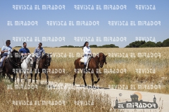2016 feria caballo medina del campo 33