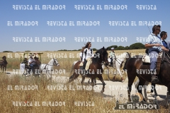 2016 feria caballo medina del campo 34