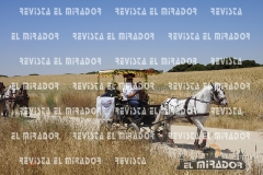 2016 feria caballo medina del campo 35