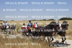 2016 feria caballo medina del campo 36