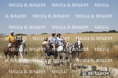 2016 feria caballo medina del campo 37