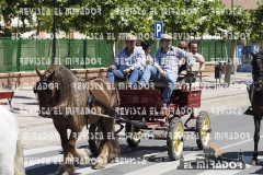 2016 feria caballo medina del campo 4