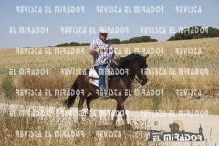 2016 feria caballo medina del campo 40
