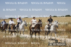 2016 feria caballo medina del campo 41