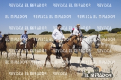 2016 feria caballo medina del campo 42