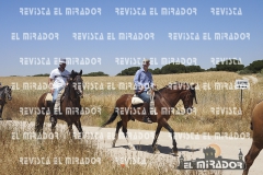 2016 feria caballo medina del campo 43