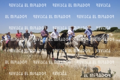 2016 feria caballo medina del campo 44