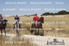 2016 feria caballo medina del campo 45