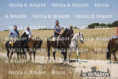 2016 feria caballo medina del campo 46