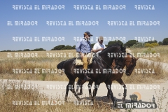 2016 feria caballo medina del campo 47