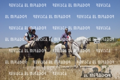2016 feria caballo medina del campo 48