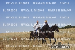2016 feria caballo medina del campo 49