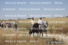 2016 feria caballo medina del campo 50