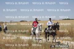 2016 feria caballo medina del campo 51