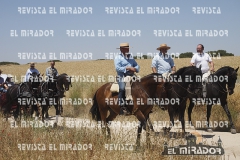 2016 feria caballo medina del campo 52