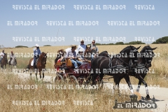 2016 feria caballo medina del campo 53