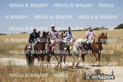 2016 feria caballo medina del campo 55