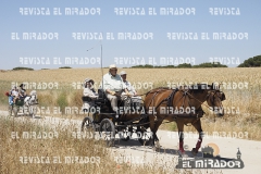 2016 feria caballo medina del campo 60