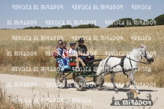 2016 feria caballo medina del campo 61