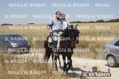 2016 feria caballo medina del campo 62