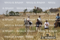 2016 feria caballo medina del campo 63