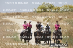 2016 feria caballo medina del campo 65