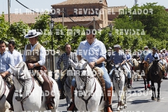 2016 feria caballo medina del campo 67