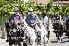 2016 feria caballo medina del campo 68