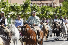 2016 feria caballo medina del campo 69