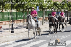 2016 feria caballo medina del campo 7