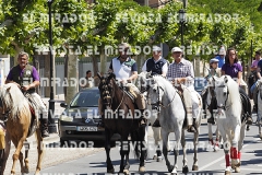 2016 feria caballo medina del campo 70