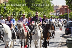 2016 feria caballo medina del campo 71