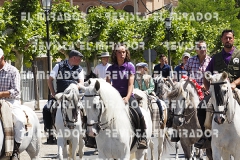2016 feria caballo medina del campo 72