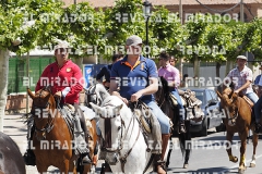 2016 feria caballo medina del campo 74