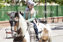 2016 feria caballo medina del campo 75