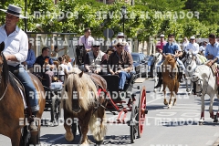 2016 feria caballo medina del campo 77