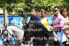 2016 feria caballo medina del campo 78