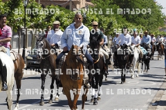 2016 feria caballo medina del campo 81