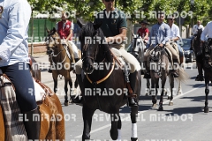 2016 feria caballo medina del campo 82