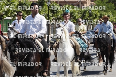 2016 feria caballo medina del campo 84