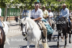 2016 feria caballo medina del campo 85