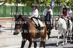 2016 feria caballo medina del campo 87