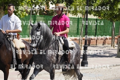 2016 feria caballo medina del campo 89