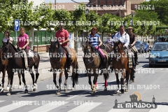 2016 feria caballo medina del campo 9