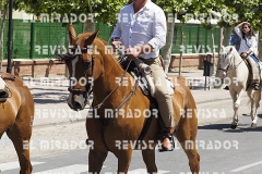 2016 feria caballo medina del campo 90