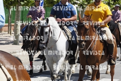 2016 feria caballo medina del campo 92