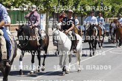 2016 feria caballo medina del campo 93