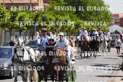 2016 feria caballo medina del campo 97
